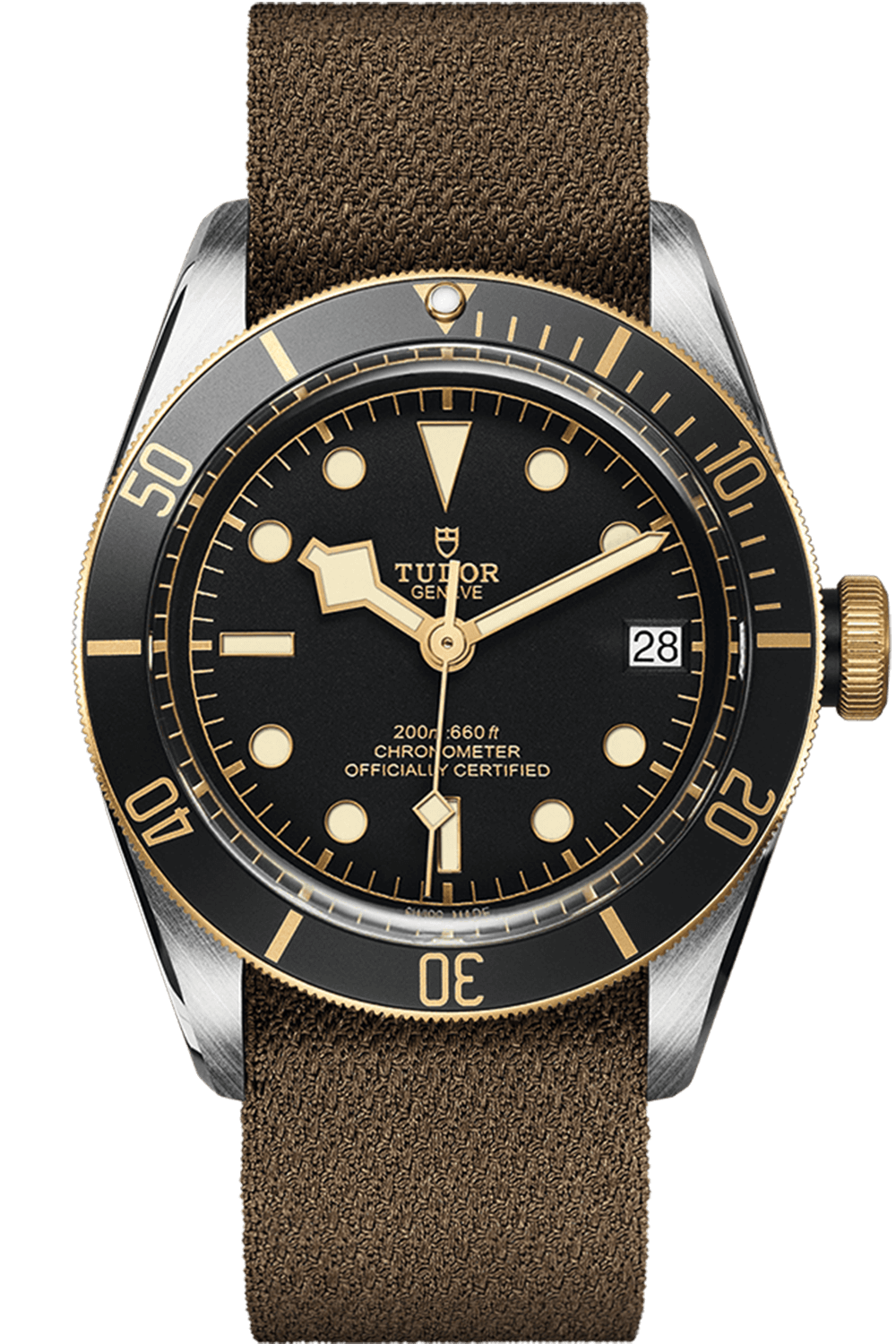 Tudor Black Bay S&G Ref - M79733N-0005