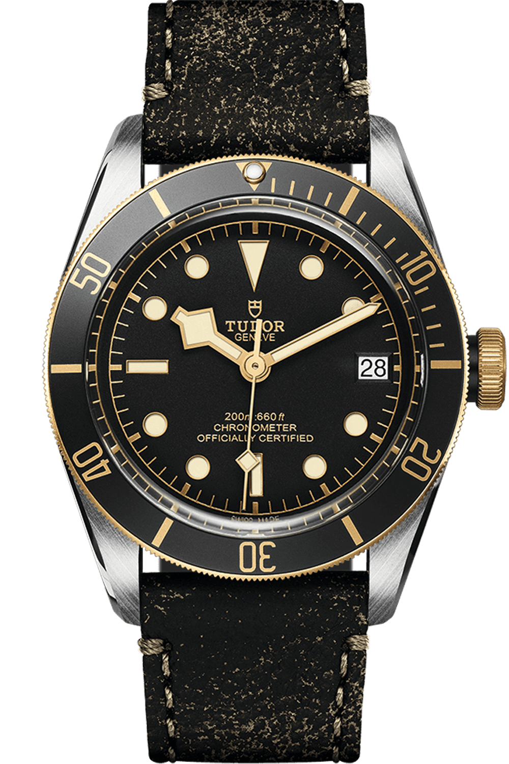 Tudor Black Bay S&G Ref - M79733N-0007